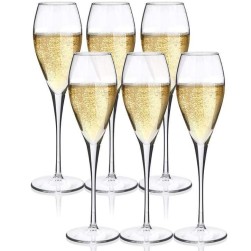  Champagne Glass Pasabahce (turkey) Pb440157 (225 Ml) Pack Of 6 Pcs Manufacturers and Suppliers in India