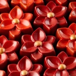  Pavoni Pc Chocolate Mould Pc5073 Manufacturers and Suppliers in India