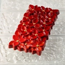  Pavoni Pc Chocolate Mould Pc5076 Manufacturers and Suppliers in India