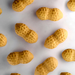  Pavoni Silicone Flexipan Px3230 Peanut Manufacturers and Suppliers in India