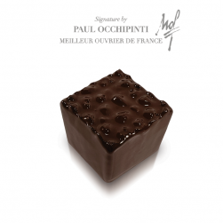  Sl-rocreg Decotatoo Rocher Individual Silicone Mould Set Of 6 Pcs Manufacturers and Suppliers in India