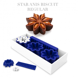  Sl-asrg Decotatoo Star Anis Biscuit Regular Set Of 6 Pcs in Jamshedpur