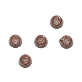  Chocolate World Polycarbonate Chocolate Mould Cw1671 Manufacturers and Suppliers in India