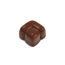  Pavoni Polycarbonate Chocolate Mould Pc64 Manufacturers and Suppliers in India