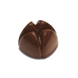  Pavoni Polycarbonate Chocolate Mould Pc65 Manufacturers and Suppliers in India