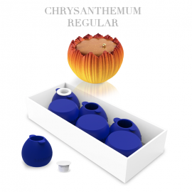  Sl-tlrg Decotatoo Chrysanthemum Regular Set Of 6pcs in Jamshedpur