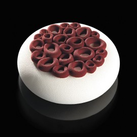  Pavoni Silicone Cake Top10 Mini Coral Manufacturers and Suppliers in India