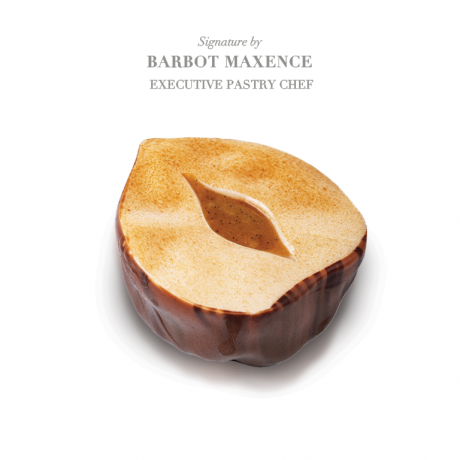 SL-CHAZEREG DECOTATOO COEUR NOISETTE REGULARSILICONE MOULD SET OF 6 PCS