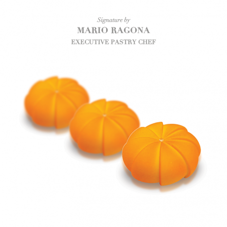 SL-EXGAFT DECOTATOO  SILICONE MOULD SET OF 12 PCS