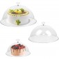 Acrylic Dome 8
