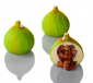 COMING SOON PAVONI SILICONE FLEXIPAN PX43146 Fig